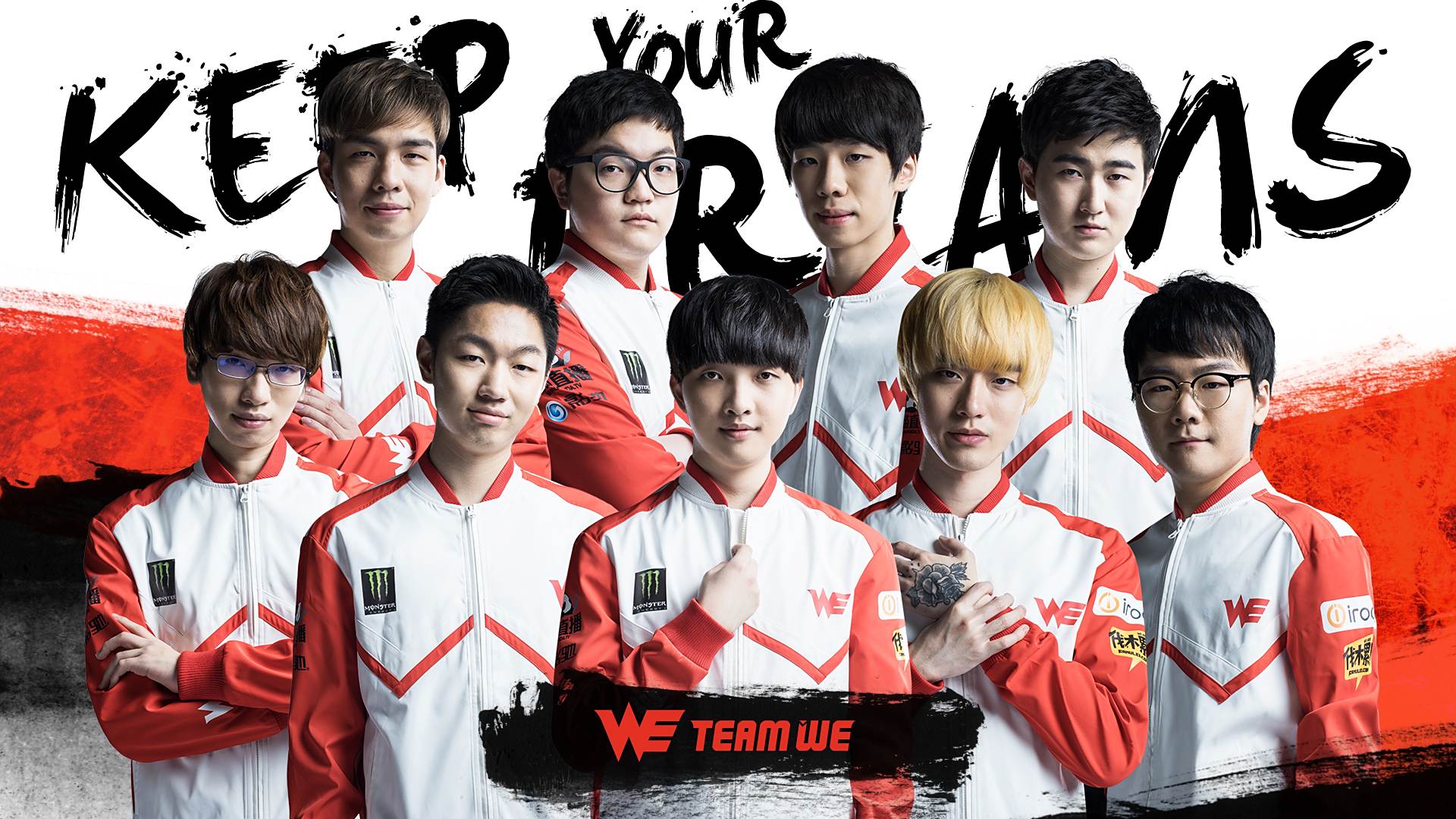 送入网窝 送入网窝